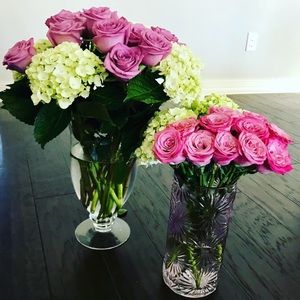 Meet your Posher, Paige